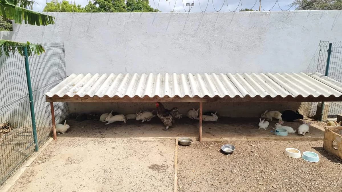 Foto van Missie Curaçao